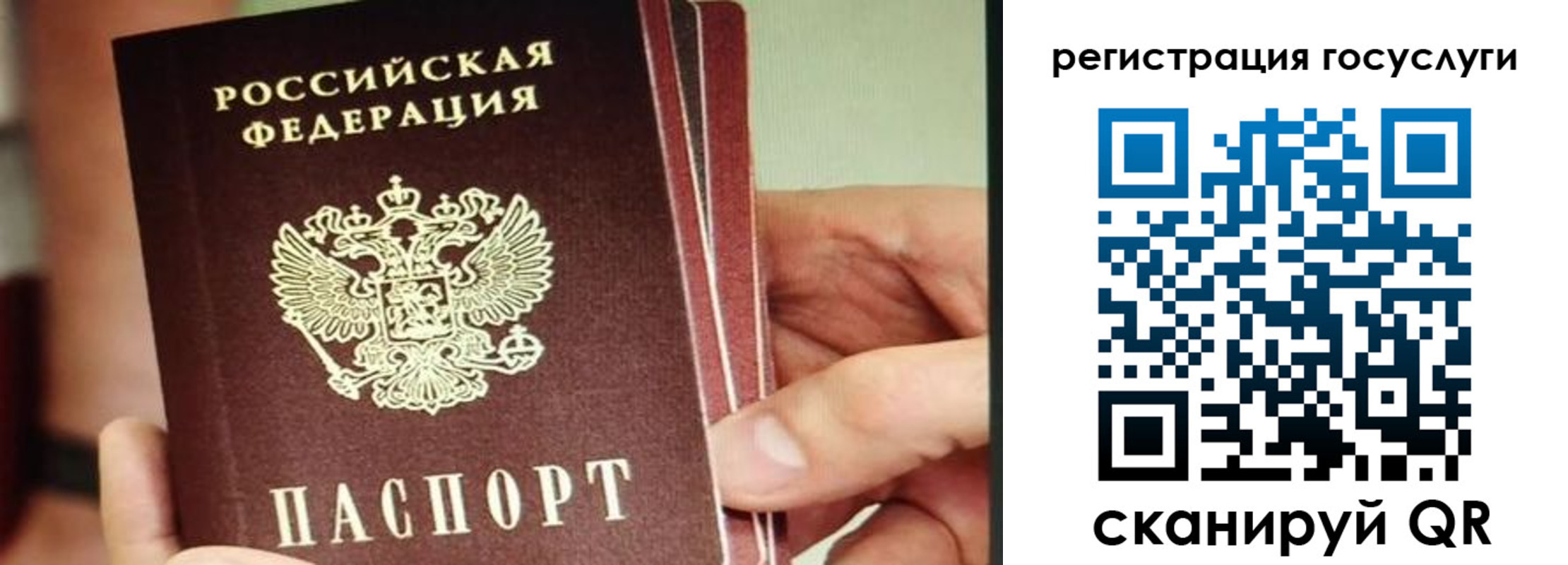 временная регистрация собственник в Калининградской области